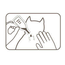 beaphar Zecken- und Flohschutz SPOT-ON 3 x 2 ml